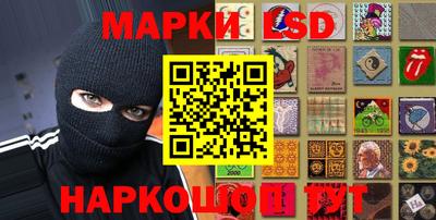 spice Бердск
