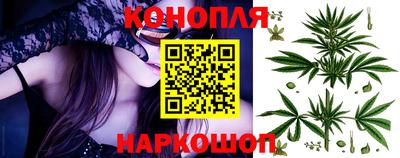 spice Бердск