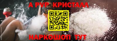 spice Бердск