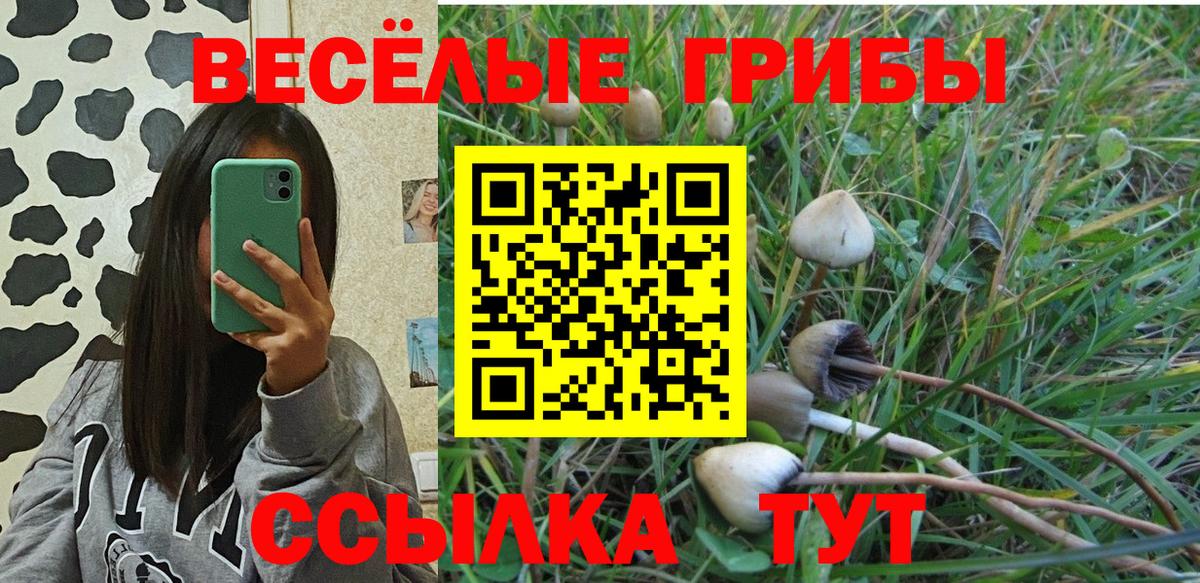 Галлюциногенные грибы GOLDEN TEACHER  Вход с VPN  закладка  Вязьма 